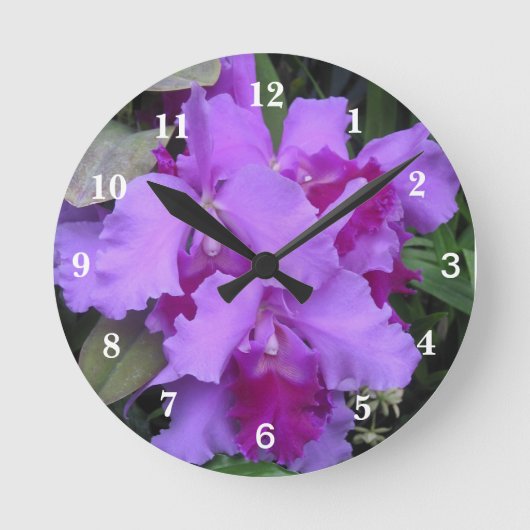 Lavender Catleya Orchids Ronde Klok (Voorkant)