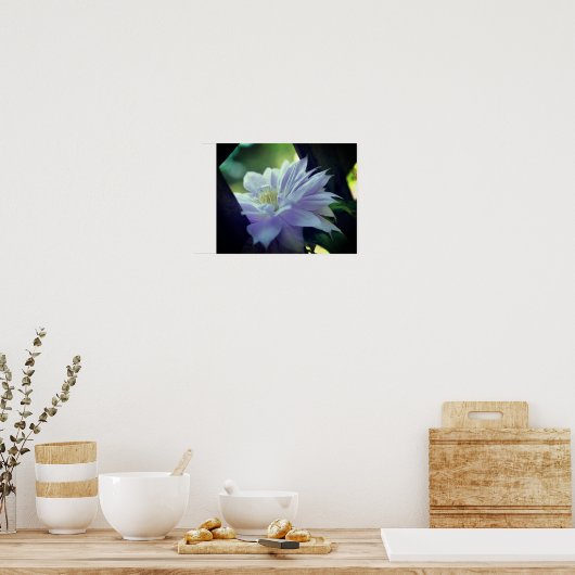 Lavender Clematis-bloem in de trallis Poster (Keuken)