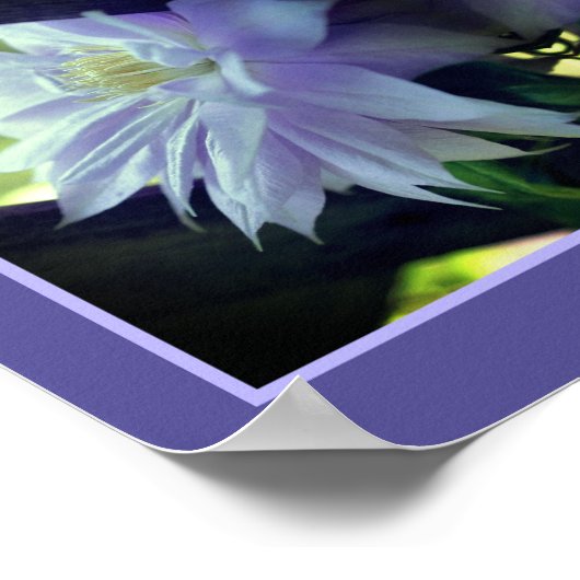 Lavender Clematis-bloem in Trellis Abstract Poster (Hoek)