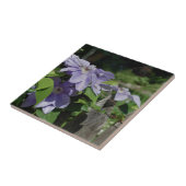Lavender Clematis drijft op hek Natuur Tegeltje (Zijkant)