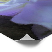 Lavender Clematis Flower Art-fotoschildering Poster (Hoek)