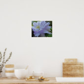Lavender Clematis Flower Art-fotoschildering Poster (Keuken)