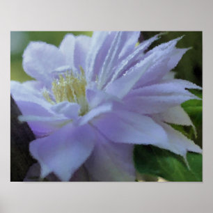Lavender Clematis Flower Art-fotoschildering Poster
