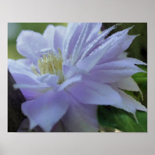 Lavender Clematis Flower Art-fotoschildering Poster (Voorkant)