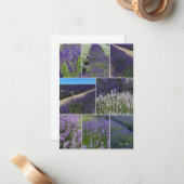 Lavender Collage Notitiekaartje (Voorkant / Achterkant in situ)
