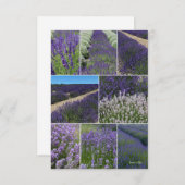 Lavender Collage Notitiekaartje (Voorkant / Achterkant)