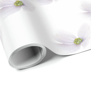 Lavender Cosmos flower op White Cadeaupapier