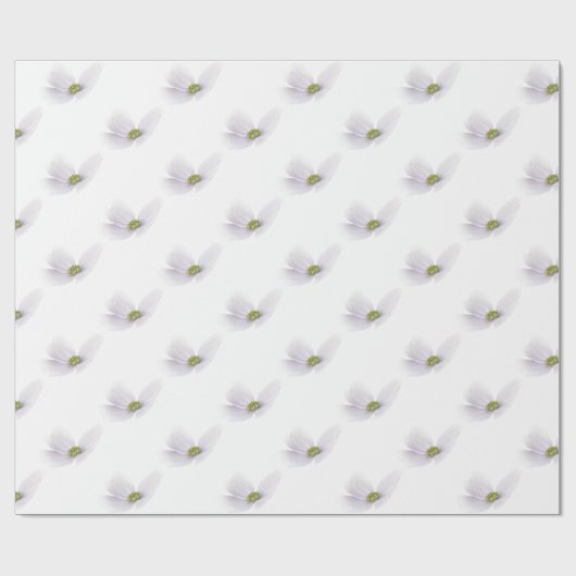 Lavender Cosmos flower op White Cadeaupapier (Vlak)
