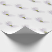 Lavender Cosmos flower op White Cadeaupapier (Hoek)