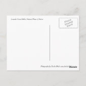 Lavender Creme Dahlia Briefkaart (Achterkant)