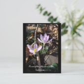 Lavender Crocus Briefkaart (Staand voorkant)
