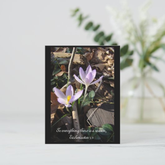 Lavender Crocus Briefkaart (Staand voorkant)