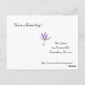 Lavender Crocus Briefkaart (Achterkant)