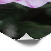 Lavender Dahlia Flower Perfect Poster (Hoek)