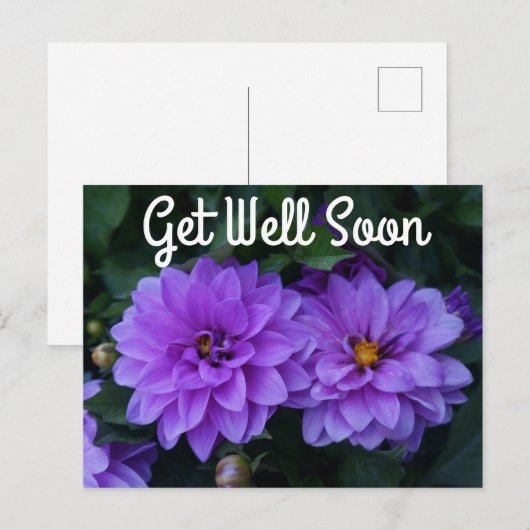 Lavender Dahlia Lila krijgen snel Briefkaart (Voorkant / Achterkant)