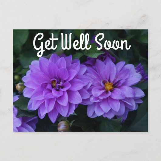 Lavender Dahlia Lila krijgen snel Briefkaart (Voorkant)