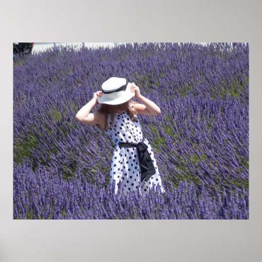 Lavender Days Poster (Voorkant)