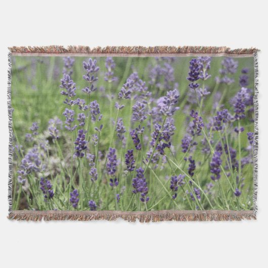 Lavender Deken (Voorkant)