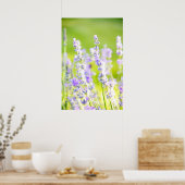Lavender Dream Poster (Keuken)