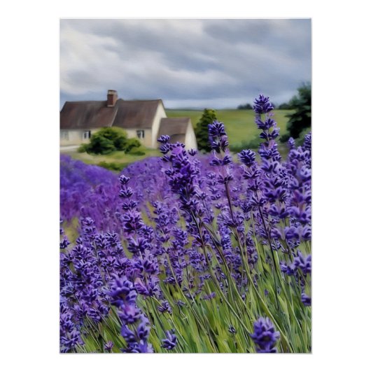 Lavender dreams perfect poster (Voorkant)