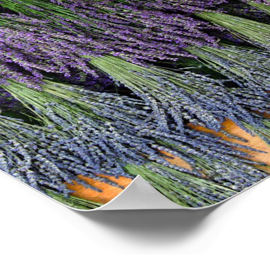 Lavender Drying Rack Poster (Hoek)