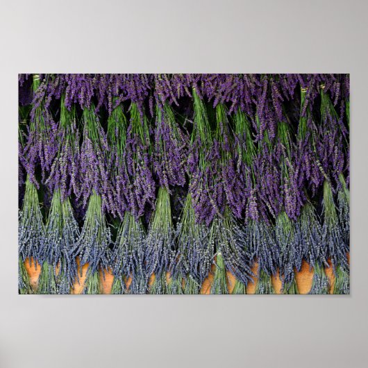 Lavender Drying Rack Poster (Voorkant)