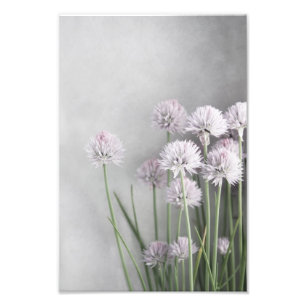 lavender en groene kanonnen op zachte grijs foto afdruk