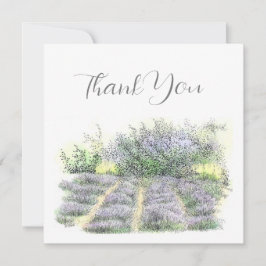 Lavender Field Bedankkaart