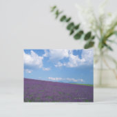Lavender Field Briefkaart (Staand voorkant)
