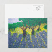 Lavender Field Briefkaart (Voorkant / Achterkant)