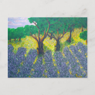 Lavender Field Briefkaart