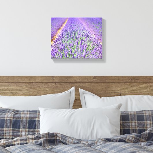 Lavender Field Canvas Afdruk (Insitu (Slaapkamer))