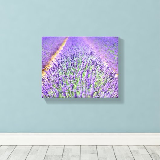 Lavender Field Canvas Afdruk (Insitu (Houten vloer))