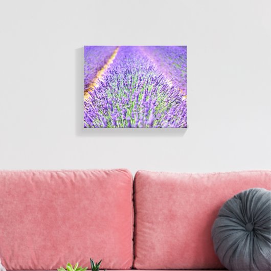 Lavender Field Canvas Afdruk (Insitu (Woonkamer))