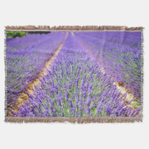 Lavender Field Deken