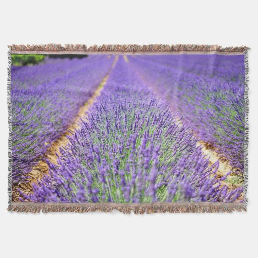 Lavender Field Deken (Voorkant)