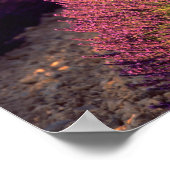 Lavender field in High Provence, France 2 Poster (Hoek)