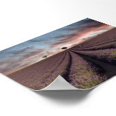Lavender field in Provence Poster (Hoek)