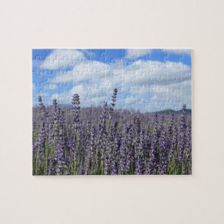 Lavender Field met Blue Sky en White Clouds Legpuzzel
