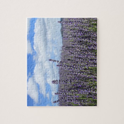 Lavender Field met Blue Sky en White Clouds Legpuzzel (Verticaal)