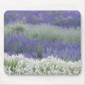 Lavender Field Mousepad Muismat (Voorkant)