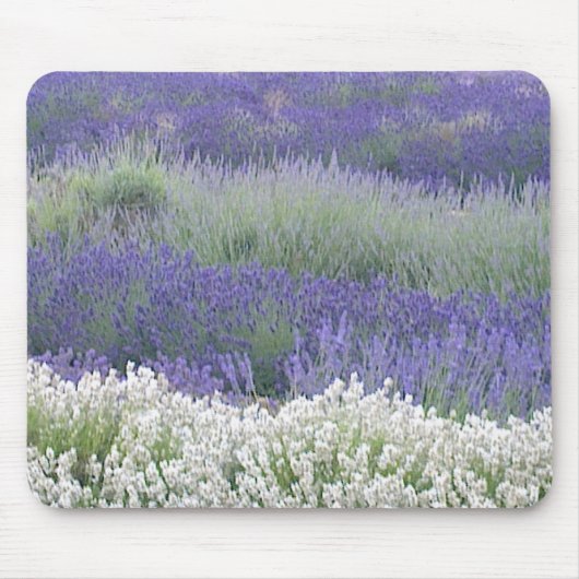 Lavender Field Mousepad Muismat (Voorkant)