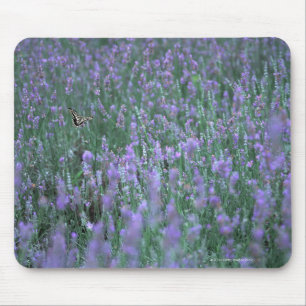 Lavender Field Muismat