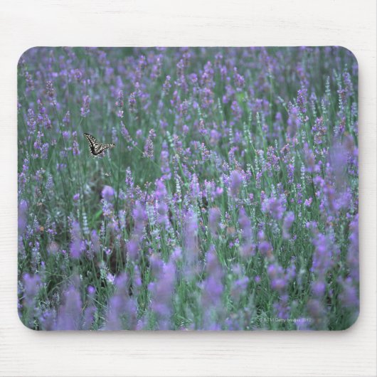 Lavender Field Muismat (Voorkant)