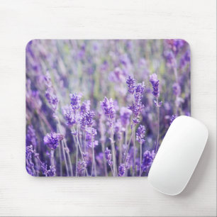 Lavender Field Muismat
