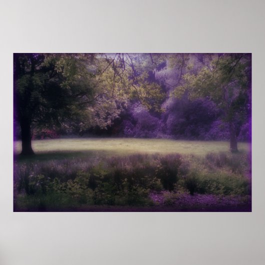 Lavender Field of Dreams Poster (Voorkant)