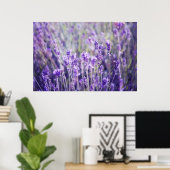 Lavender Field Poster (Thuiskantoor)