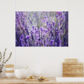 Lavender Field Poster (Keuken)