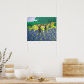 Lavender Field Poster (Keuken)