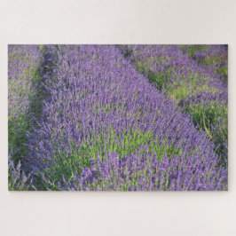 Lavender field Puzzle Legpuzzel